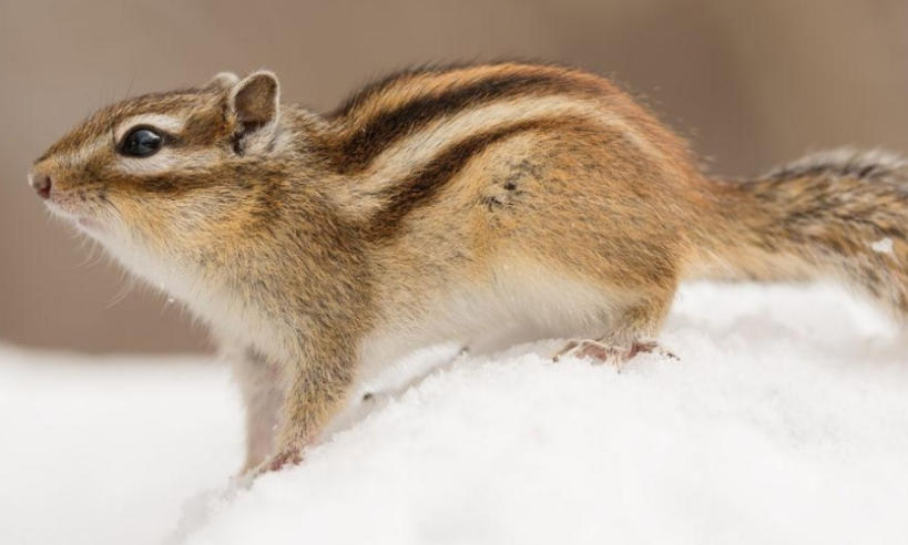 鄂尔多斯益联达商贸有限公司轮播图5