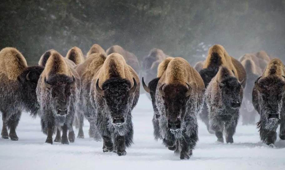 鄂尔多斯益联达商贸有限公司轮播图4